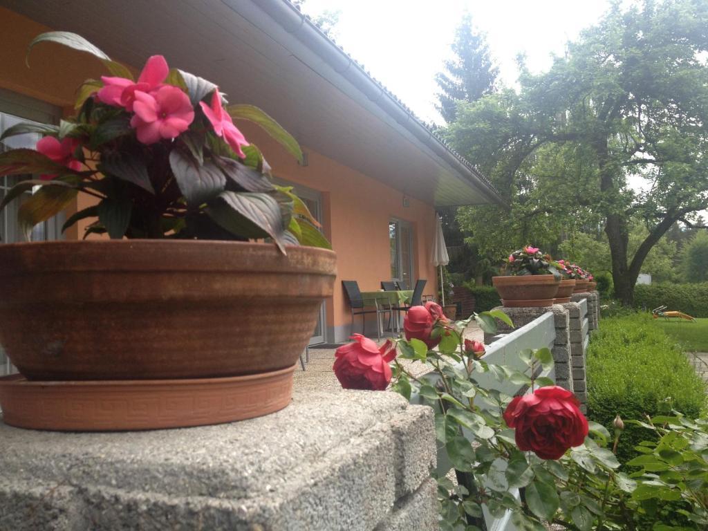 Waldpension Schiefling Am See Luaran gambar